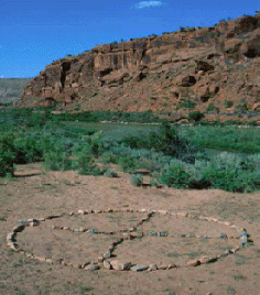 ** PLEASE DESCRIBE THIS IMAGE **